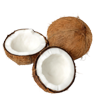 coconut in puja