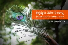 why-lord-krishna-wears-peacock-feather-on-his-head