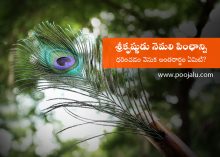 why-lord-krishna-wears-peacock-feather-on-his-head