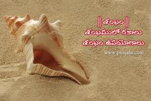 significance of conch or shankha