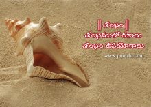 significance of conch or shankha