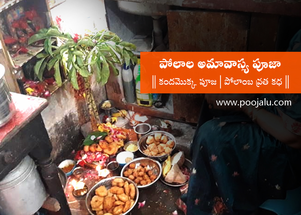 polala amavasya pooja procedure