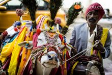 Makar Sankranti