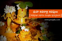 maha shivaratri shiva pooja procedure