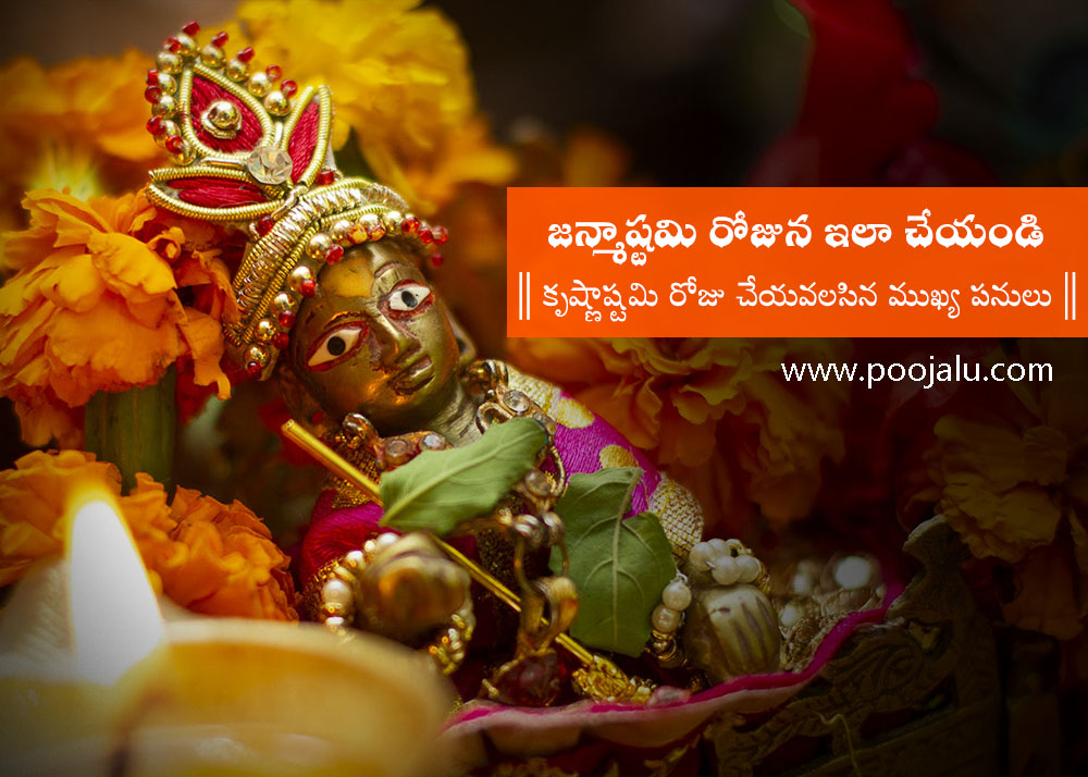 what-to-do-on-krishna-janmashtami