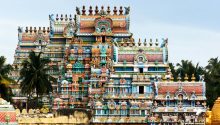 Pandits in Chennai