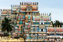 Pandits in Chennai