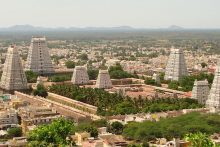 Pandits in Tiruvannamalai
