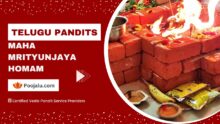 Telugu Pandit for Maha Mrityunjaya Homam Puja