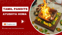 Tamil Pandit For Ayushya Homa Puja