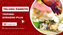 Telugu Pandit For Tripindi Shraddh Puja