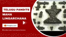 Telugu Pandit for maha Lingarchana Puja